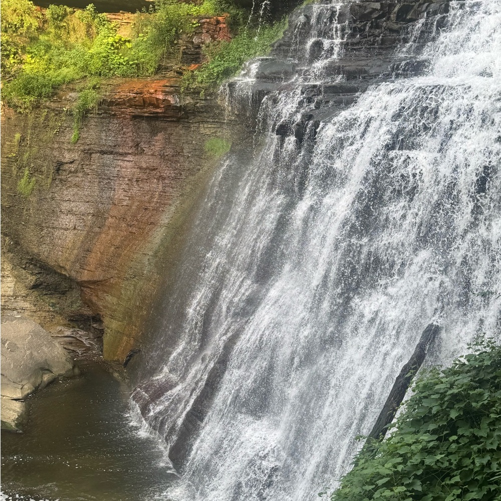 Meet your Posher, Shonte'